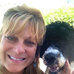 Meet your Posher, Dawn